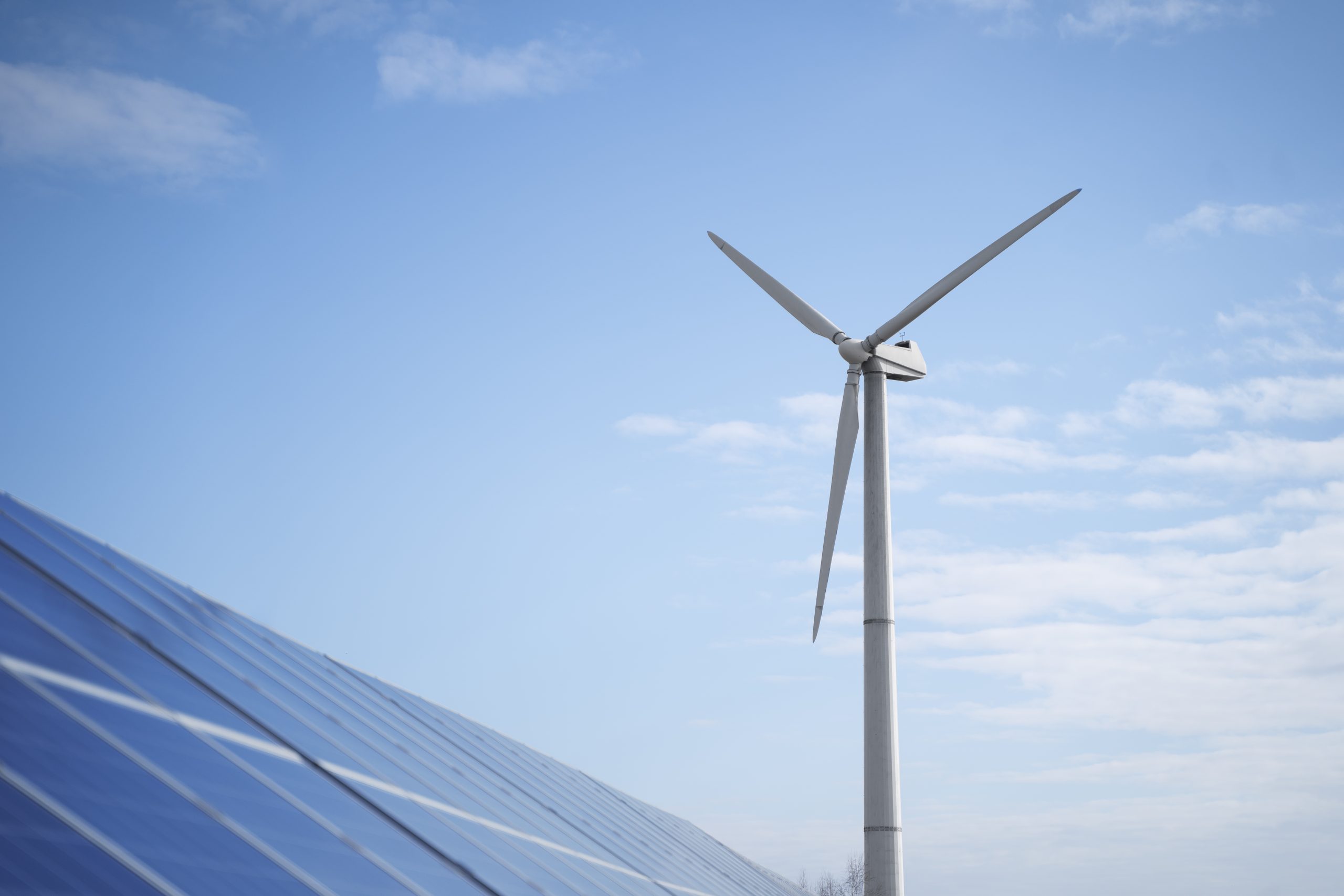 Meio ambiente e energias renováveis: como caem no Enem