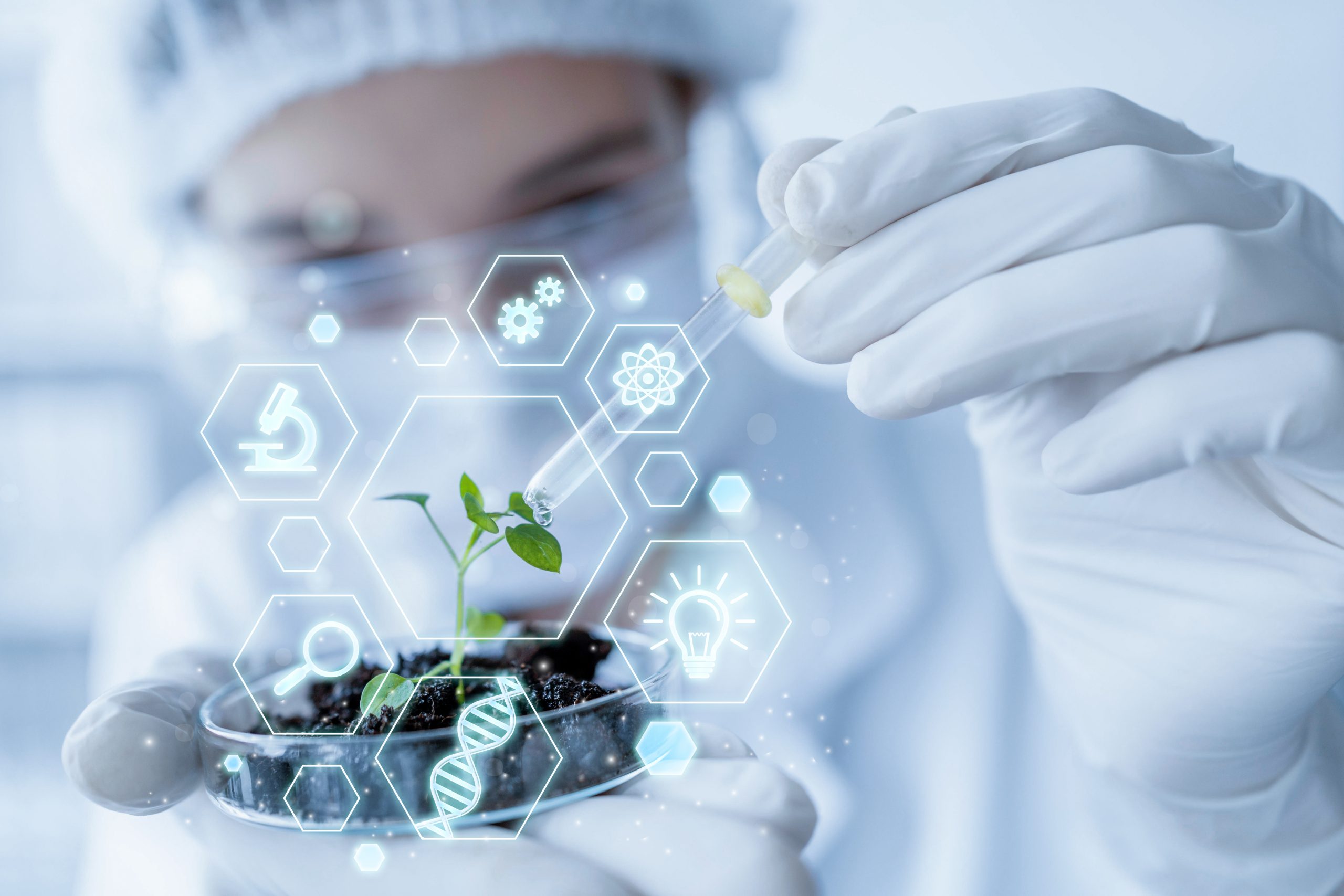 Enem 2023: 4 dicas para resolver questões de biologia no segundo dia de provas