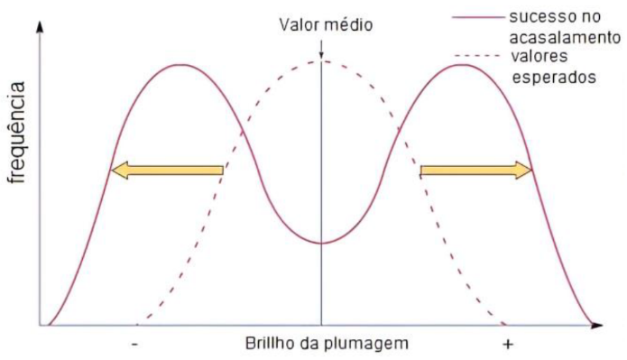 TEORIAS DA EVOLUÇÃO 