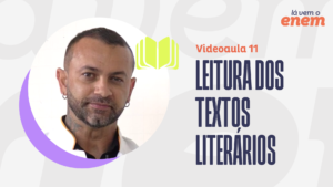 VIDEOAULA: leitura dos textos literários