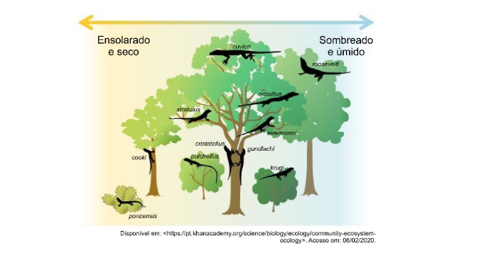 questões de biologia