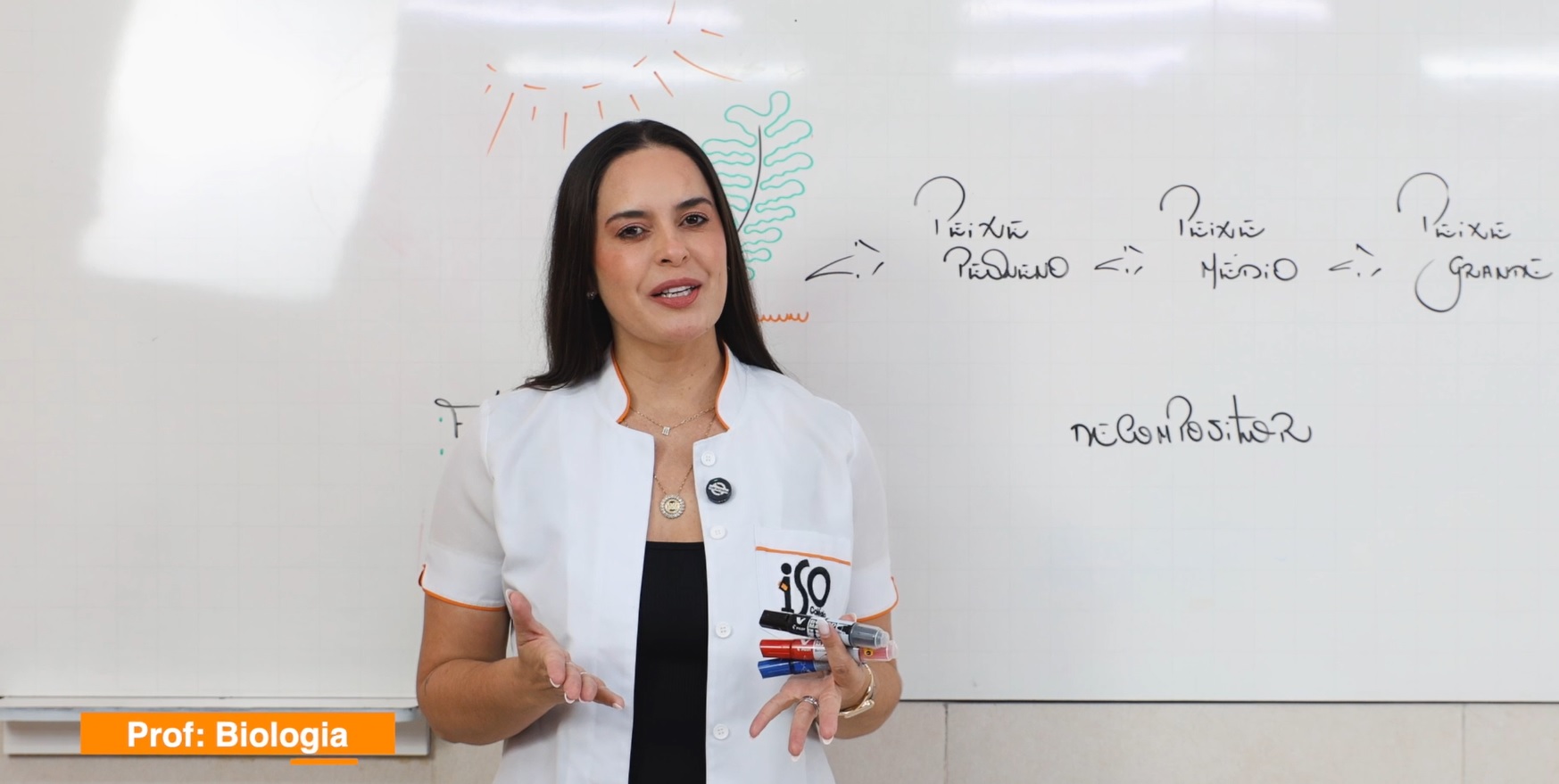 aula de ecologia sobre cadeia alimentar para o enem
