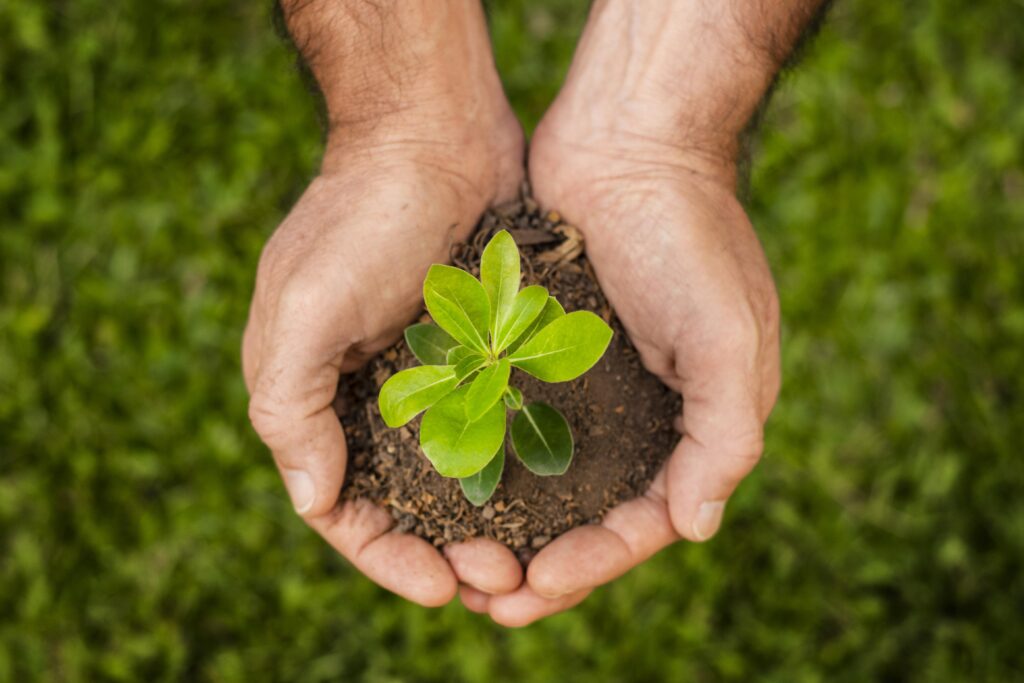 Ecologia pode cair de várias formas no Enem