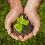 Ecologia pode cair de várias formas no Enem